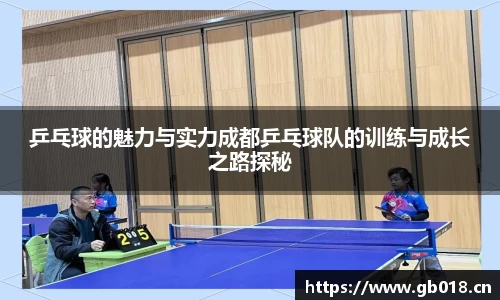乒乓球的魅力与实力成都乒乓球队的训练与成长之路探秘